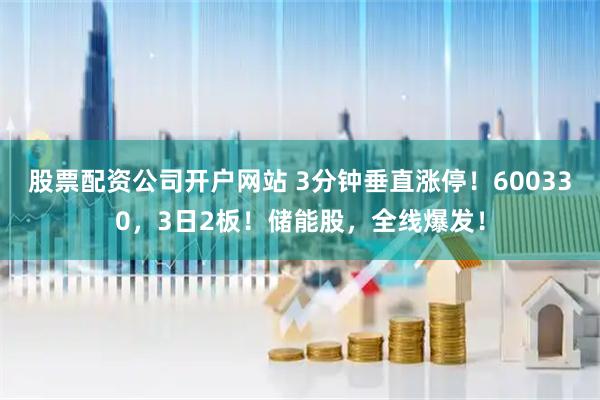 股票配资公司开户网站 3分钟垂直涨停！600330，3日2板！储能股，全线爆发！