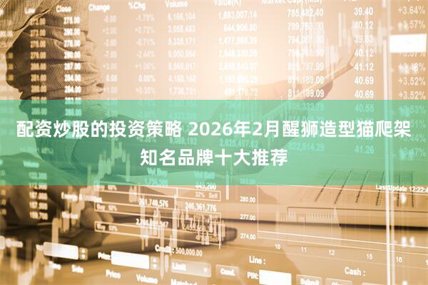 配资炒股的投资策略 2026年2月醒狮造型猫爬架知名品牌十大推荐
