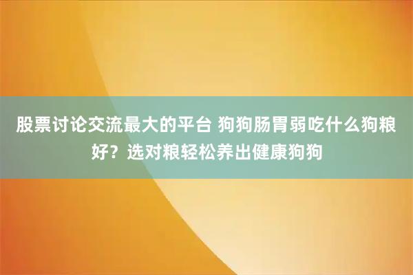 股票讨论交流最大的平台 狗狗肠胃弱吃什么狗粮好？选对粮轻松养出健康狗狗
