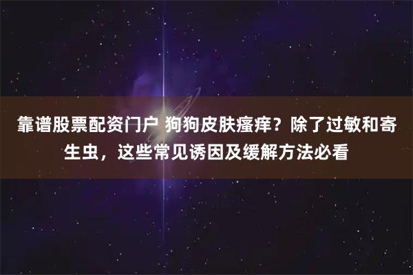 靠谱股票配资门户 狗狗皮肤瘙痒？除了过敏和寄生虫，这些常见诱因及缓解方法必看